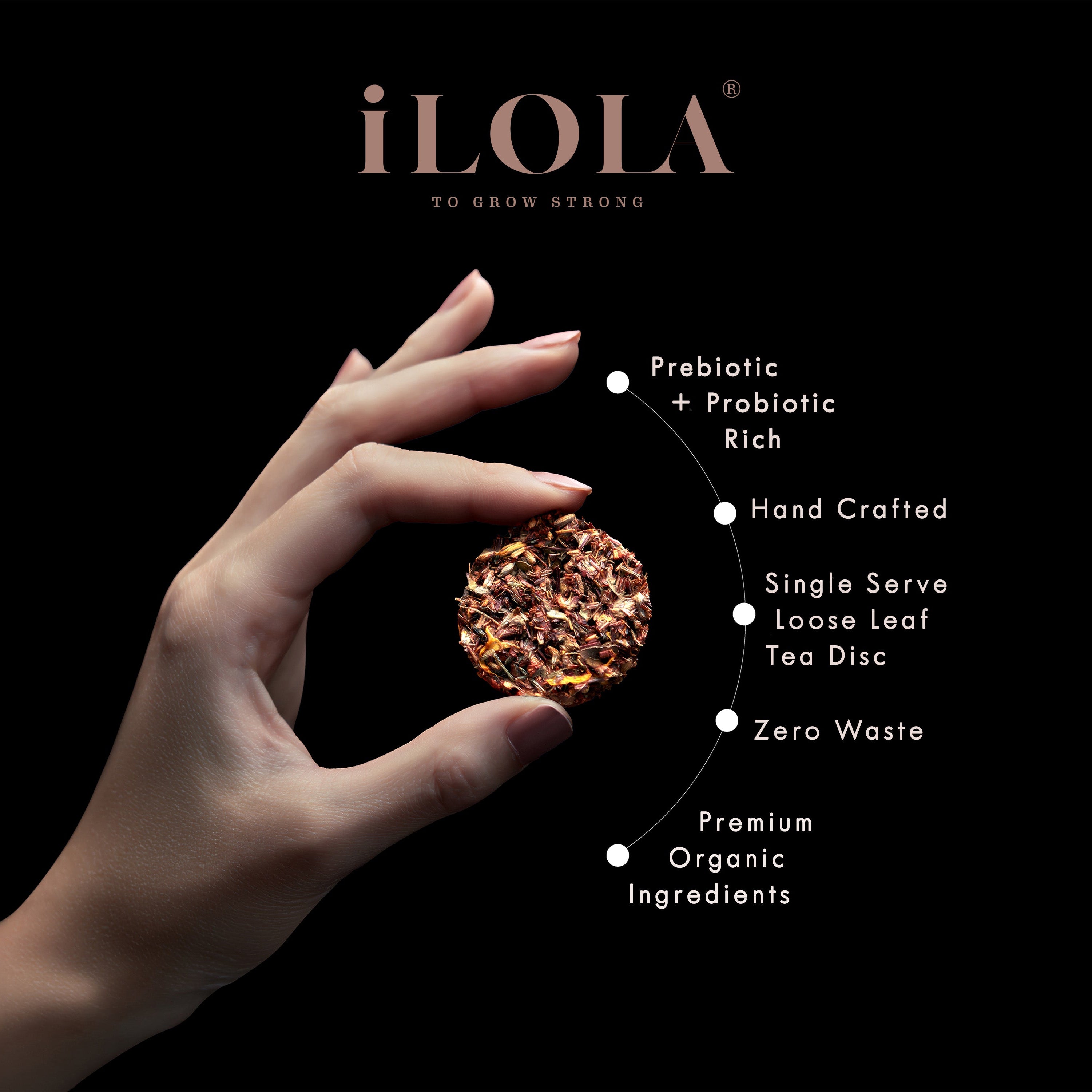 After Eight No. 65 | Loose Leaf Herbal Tea Disc
